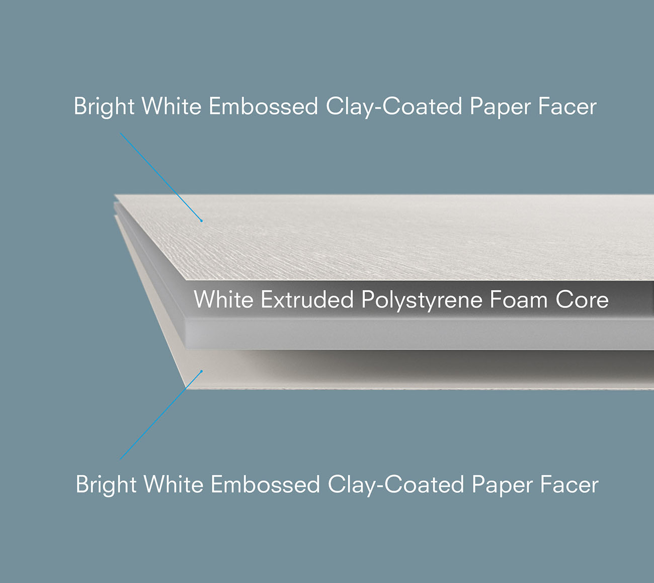 6_FOME_CANVAS_labels_web.jpg