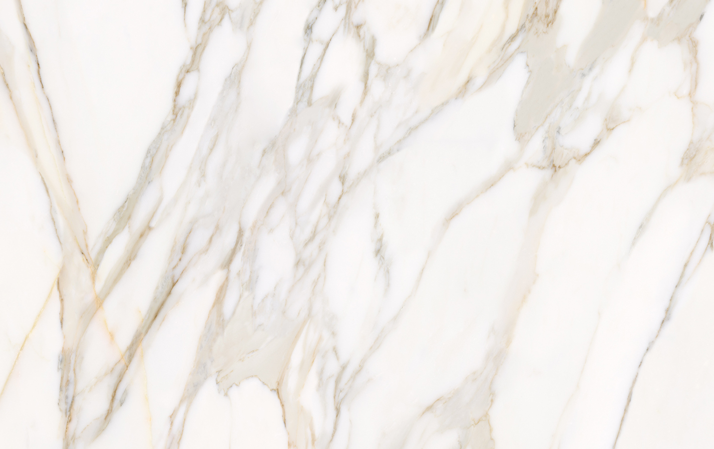 MONARC Interior Wall Panels with Natural Finishes | MONARC