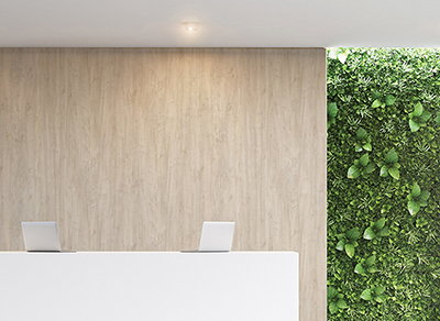 The Woodland Collection